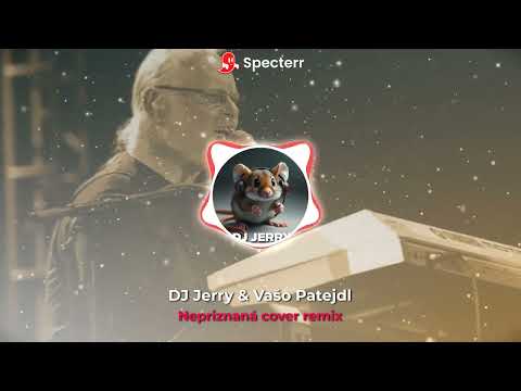 DJ Jerry & Vašo Patejdl - Nepriznaná cover remix
