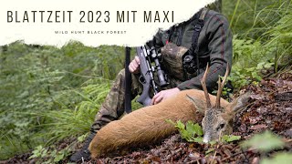 Blattjagd 2023 - Hunt On Demand