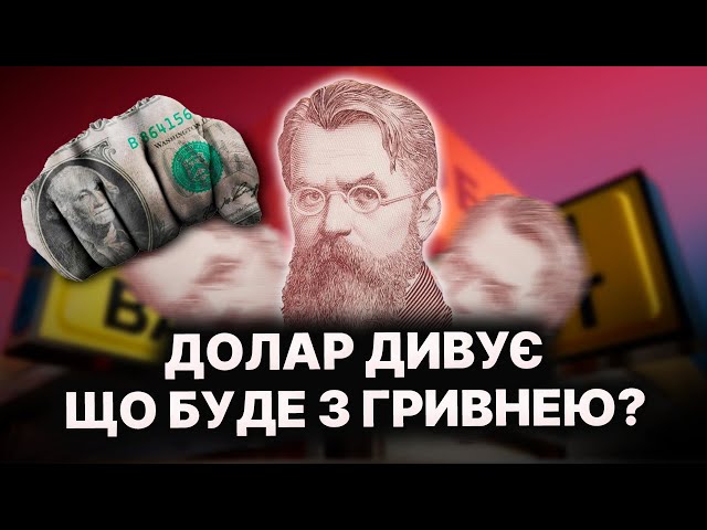 Буде по 50? Чому українці скидають гривню? Прогноз курсу долара і євро