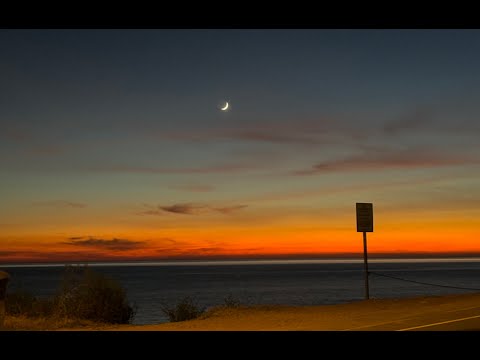 The Palms "Pretenders" Official Video