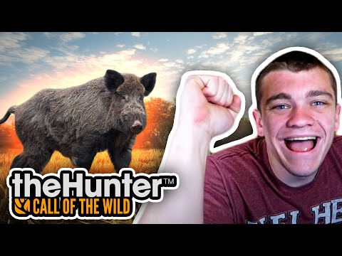 POACHING WILD HOGS!!! Hunter Call of the Wild Ep.24 - Kendall Gray