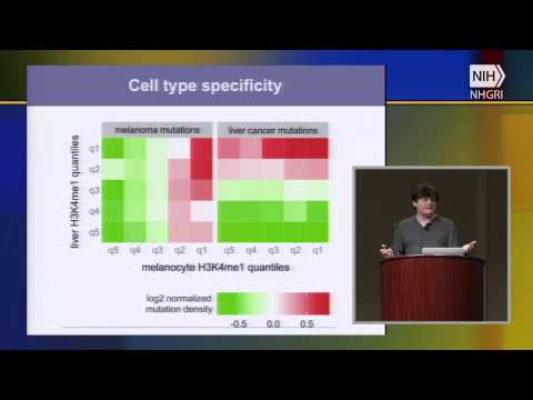 Epigenetic Control of Genetics: the Impact of Epigenome on Mutation - Shamil Sunyaev