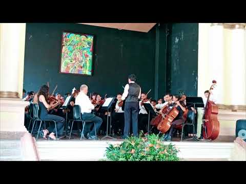 Orquesta Sinfónica Simón Bolivar del Táchira