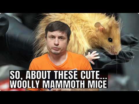 Let's Talk About the Woolly Mammoth Mice That Were Just Created