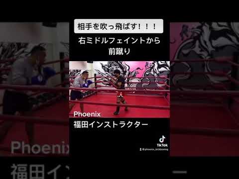 相手を吹っ飛ばせる右ミドルのフェイントから前蹴り