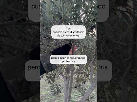 Cristina Saiz Manceñido-81