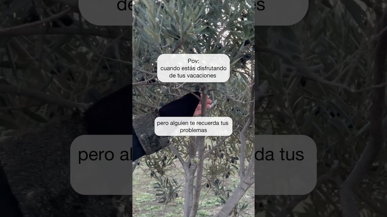 Cristina Saiz Manceñido-81