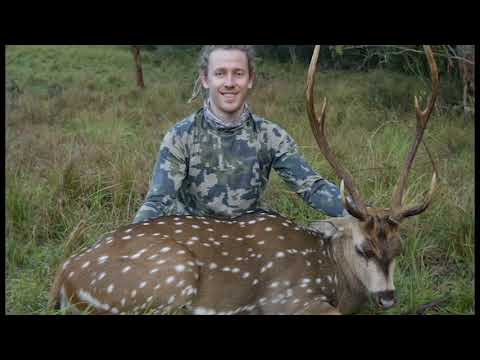 download lagu mp3 mp4 Australian Deer Identification, download lagu Australian Deer Identification gratis, unduh video klip Australian Deer Identification