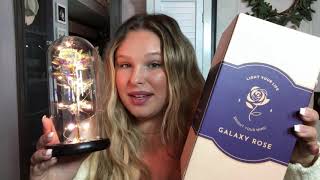 Introducing Rose in Glass Dome | VUDECO