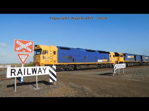 7902V - BL31-XR559-XR558 (Fruit) Gheringhap - Australian Trains by RaySha1811