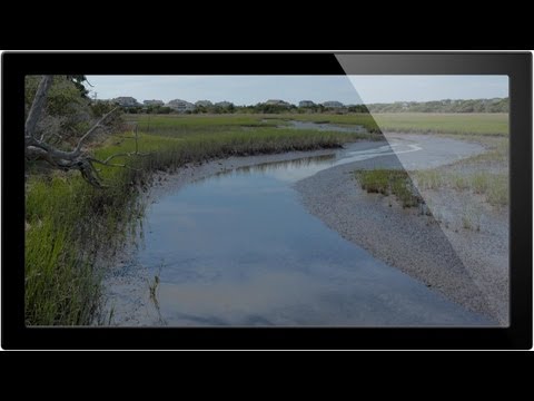 How to Set Up and Use a Wacom Tablet