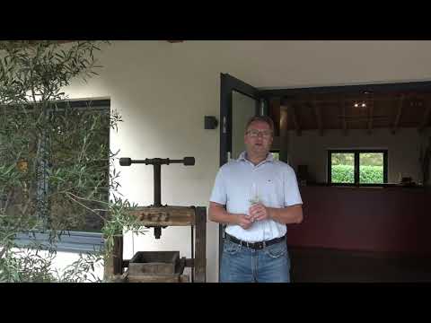 Weintaxi Wiesbaden - Weingut Dienst Dorotheenhof - Vorstellung