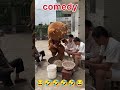 AWW New Funny Videos 2022 😂 Cutest People Doing Funny Things 😺😍 Part 34