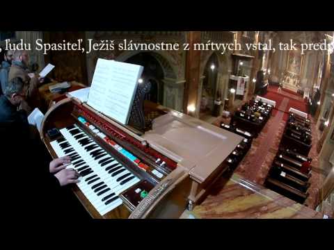 JKS 339 - Kráľovná nebeská (Freu dich, du Himmelskönigin)