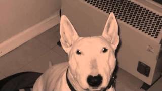 I feel mysterious today 0002