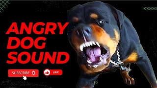 1 mins of ANGRY dogs BARKING I Must-Watch Compilation 4K 🔊🔊