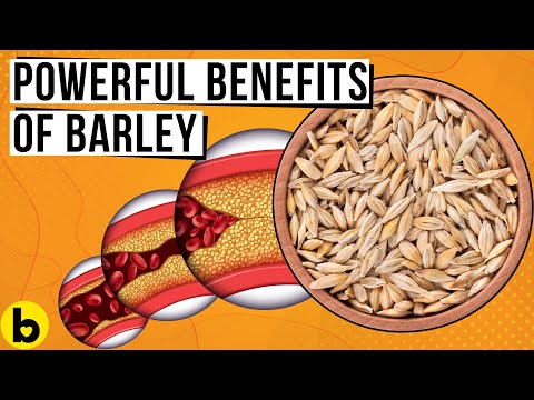 9 POWERFUL Benefits Of Eating Barley Every Day You Must Know