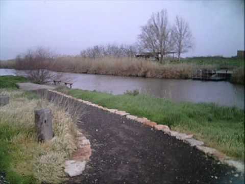 Video thumbnail for Dmaot Shel Mal’achim - דמעות של מלאכים