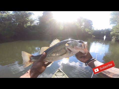 PreFishing For My 1st Online Bass Fishing Tournament + Big Bass !!