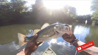 PreFishing For My 1st Online Bass Fishing Tournament + Big Bass !!