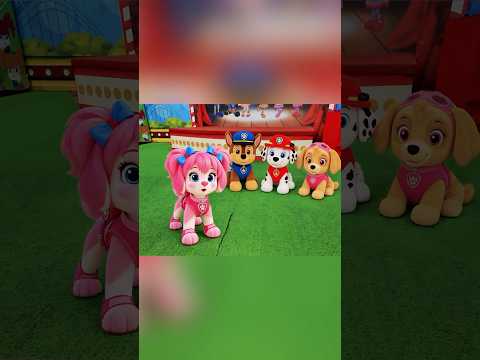 Pepita Virou Cachorrinha… e uma Chave Misteriosa Pode Explicar! #shorts