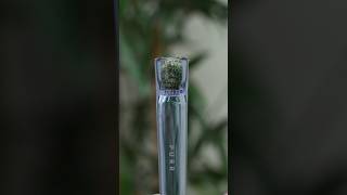 How do you pack a one hitter or chillum? #shorts