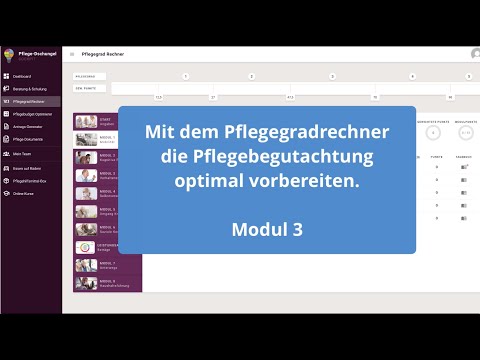5.  Pflegegradrechner - Modul 3