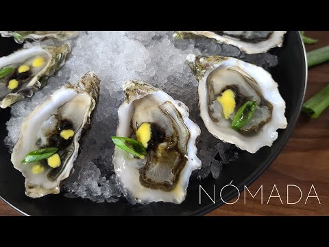 N&oacute;mada video.