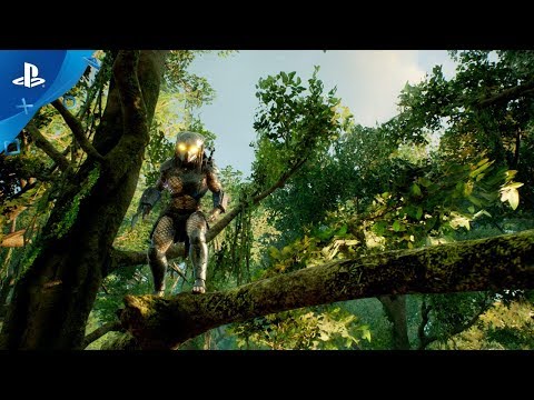 Everything We Learned about Predator: Hunting Grounds at Gamescom 2019