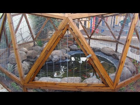Geodesic dome from wood interior
