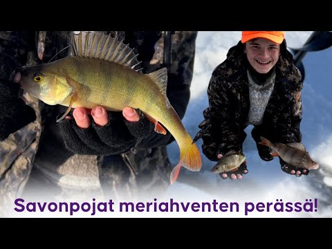 Kevättä ilmassa - Ahvenen pilkintää merellä - Jigin vaihto kannattaa