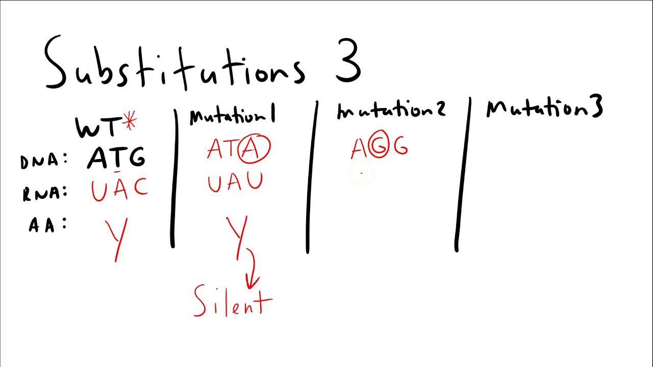Homework Helper: Substitution Mutations