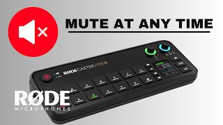 Mute Button Workaround - RODECaster Video