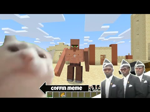 Coffin Meme but Cat is Vibing Part 3 - Minecraft