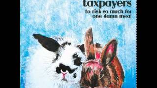 The Taxpayers - Some Kind of Disaster Relief