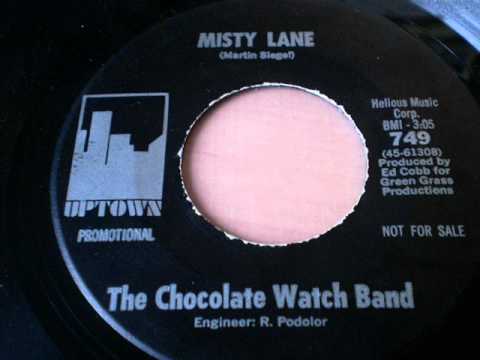 THE CHOCOLATE WATCH BAND - Misty lane