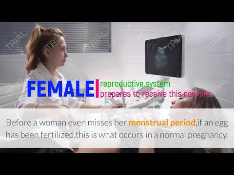 Witness this Miracle in The making -Happy pregnant announcement 见证新生命的奇迹