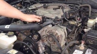 Ford Quick Tips: #18 Ford 3.0L 3.8L 4.0L 12v Engines Chirping Noise