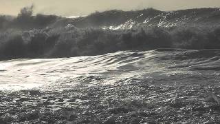 Calenture - The Triffids