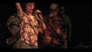 Surf's Up UK - Long Promised Road