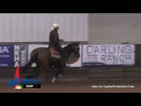 JSE Smart Gun ridden by Pete L Kyle - 2014 NRHA Derby(Nov. Horse Open - Show 1)