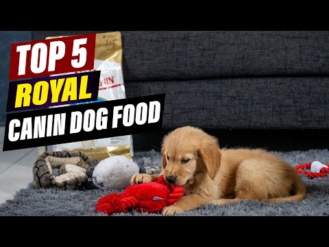 Top 5 Best Royal Canin Dog Foods: Tailored Nutrition for Every Dog!