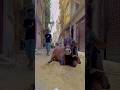 Before After BakraEid Emotional Moments Bakraeidspecial Ytshorts Bakraeidlover Bakra Mandi