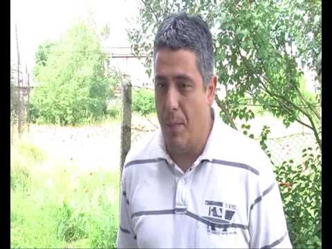 10 06 2016 RTV Vranje Zastita zasada jabuke od gljivicnih bolesti