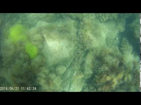 2016 0621 114220 006