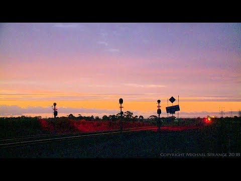 Pacific National MP5 Container Freight Train - PoathTV