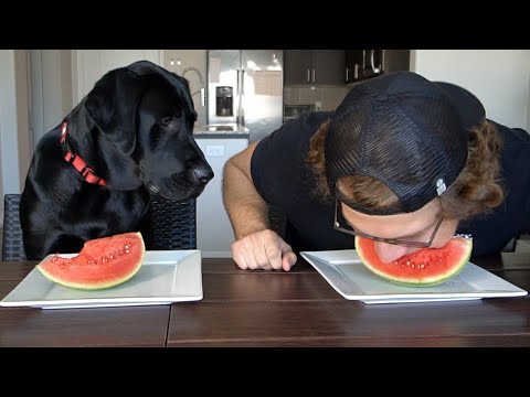 WHO EATS FASTER? My Dog Or Me?