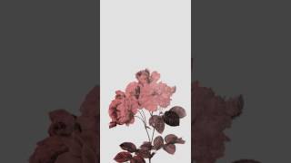 Skylar Grey - Wear Me Out