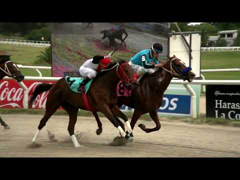 211210 c02 -  TRACKS PLATUDA - HIPODROMO LAS PIEDRAS