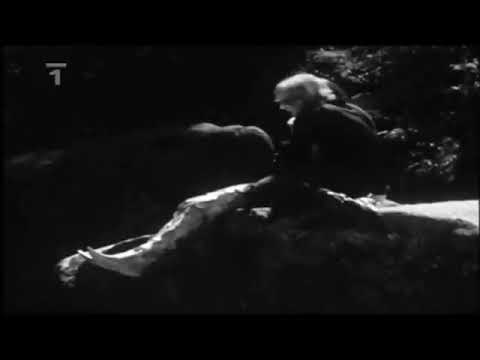 Václav Neckář - Holka ta okatá (1972)